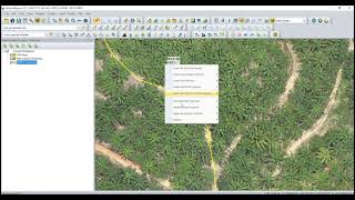 Global Mapper  How to do Manual Point Digitizing Palm Count [upl. by Htehpaj]