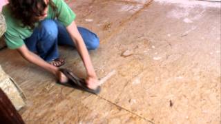 preparing subfloor so we can put down hardwood laminate flooring [upl. by Mumford]