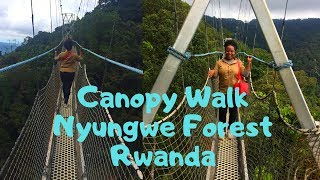 Rwanda Nyungwe Forest Canopy walk [upl. by Sackey]