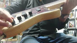 Sadowsky MetroLine 24Fret Vintage Single Cut Bass Ash 5String Natural Transparent Satin DEMO [upl. by Aicilaf794]