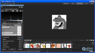 ACDSee Pro 7 video demo [upl. by Isiad]