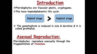 Plant Reproduction  Reproduction of Pteridophytes homosporous heterosporous [upl. by Elliott584]