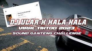 DJ GANTENG CHALLENGE VIRAL  ULAR X HALA HALA VIRAL TIKTOD 2023 [upl. by Adnahsed]