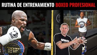 SESION DE ENTRENAMIENTO EXPLICADA  BOXEO PROFESIONAL [upl. by Alue]