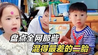 盘点那些混得最差的二胎：小小年纪如此卑微，妥妥的血脉压制 [upl. by Onia519]