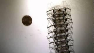 Undulatory gaits in a centipede millirobot [upl. by Alverta]