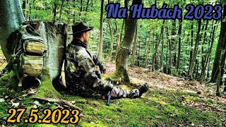 Na Hubách 2023  Časť 1  Info medvede 2752023 [upl. by Fontana915]