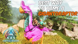 Best Way To Tame a Gigantoraptor in ARK Survival Ascended ARK ARKSurvivalAscended Gigantoraptor [upl. by Aicitan30]