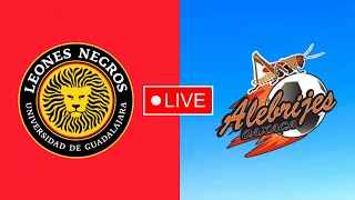 Alebrijes de Oaxaca vs Leones Negros Liga de Expansión MX En vivo Hoy partido de futebol [upl. by Trevorr399]