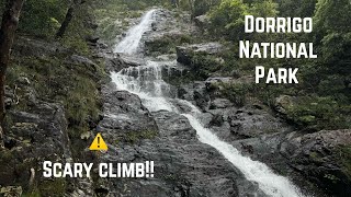 DANGEROUS hike in Dorrigo National Park Huge HIDDEN waterfall [upl. by Helen]