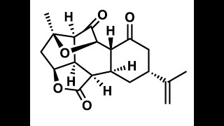 A Convergent Total Synthesis of Ineleganolide with Benjamin Gross [upl. by Anaicul900]