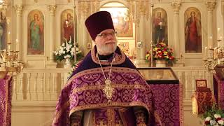 Orthodox Sermon  The Cross is our purpose in life [upl. by Goodden]