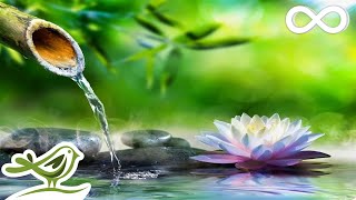 Soothing Relaxation Relaxing Piano Music amp Water Sounds for Sleep Meditation Spa amp Yoga [upl. by Orelia]