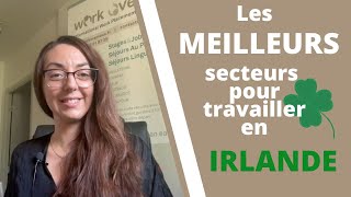 Quels sont les meilleurs secteurs pour travailler en Irlande en 2024  ☘️ [upl. by Eruot481]