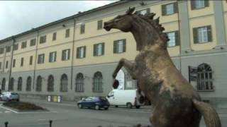 Museo Storico dellArma di Cavalleria di Pinerolo [upl. by Zaob]