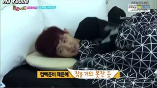 Vietsub  140504 Room Mate ChanYeol Cut Part 4 룸메이트  엑소  찬열 [upl. by Elletsirhc]