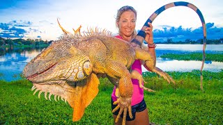 Massive IGUANA Hunting in my Backyard Catch Clean Cook WORLD RECORD [upl. by Assirk979]