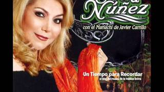 Estela Nuñez Estoy enamorada de Ti Con Mariachi [upl. by Bensen]