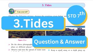 Tides Class 7th Geography  Questions and Answers  chapter 3 Exercise Maharashtra State Board [upl. by Stranger206]