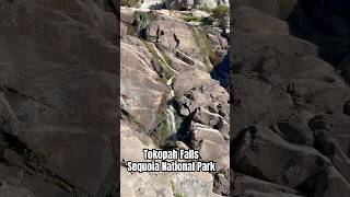 Amazing Waterfall at Sequoia National Park Tokopah Falls nationalpark waterfall wildlife hiking [upl. by Riorsson]