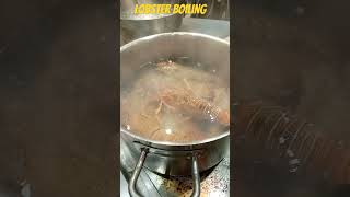 Why I am boiling lobsterReason behind the boil lobster [upl. by Lyons95]