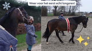 Het is KOUD en weer LONGEREN Ponygeluk VLOG51 [upl. by Maletta347]