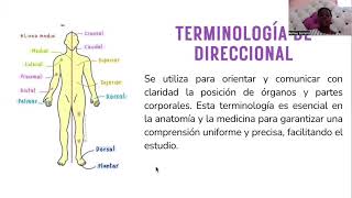 Grupo 8 Terminología anatómica parte 1 [upl. by Serg]