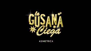 Asimétrica  La Gusana Ciega Letra  mp3 [upl. by Allebasi572]