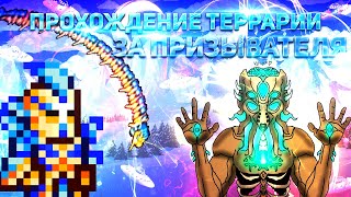 Прохождение террарии за класс Призывателя Terraria 144 Expert Mode [upl. by Padriac588]