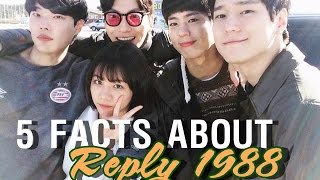 Reply 1988  5 Facts That You Might Dont Know [upl. by Sorensen366]