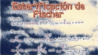 Esterificación de Fischer [upl. by Manon]