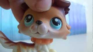 Littlest Pet Shop Lifetime Episode 10 quotForgiveness Is Keyquot REMAKE [upl. by Nosreme]