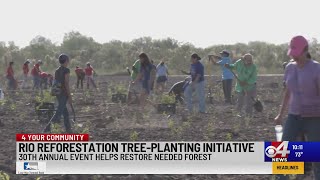 Rio Reforestation treeplanting initiative [upl. by Leisha]