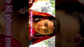 pratap Ajabde love story Bkvpmpeditsmaharanapratap shorts varal video [upl. by Llemej]