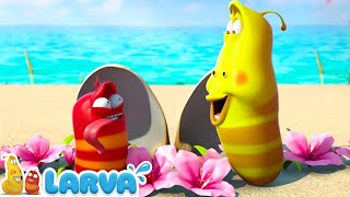 1 hora Larvas en una isla desierta 🌼🌼 Decisión Difícil 🌹🌹 Peliculas infantiles completas en español [upl. by Maggie]