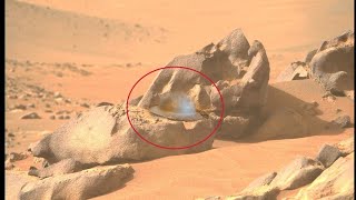 Mars perseverance Rover Captured a New 4k Stunning Video Footage of Mars Surface Mars in 4k [upl. by Naltiak]