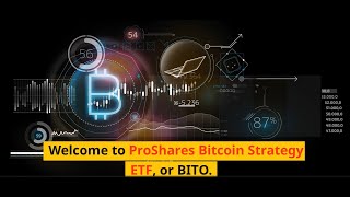 BITO ETF Explained ProShares Bitcoin Strategy ETF BITO BITO ETF Investing for Beginners [upl. by Sehcaep328]