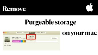 Remove Purgeable Storage on your mac 2020  Big Sur [upl. by Enak]