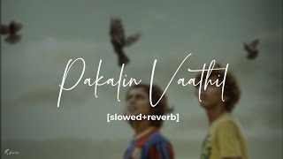 Pakalin Vaathil slowedreverb  Parava  sanxn [upl. by Broeder]