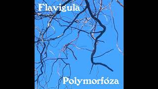 Flavigula  Polymorfóza Full Album [upl. by Adrea815]