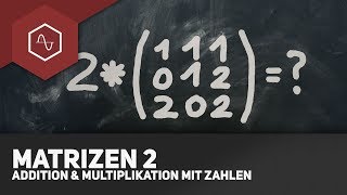 Matrizen addieren und mit Zahlen multiplizieren  Matrizen 2 [upl. by Nike75]