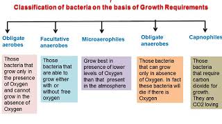 Classification of Bacteria [upl. by Quirita]