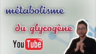 18 métabolisme du glycogène glycogénogénèse et glycogénolyse [upl. by Portia881]