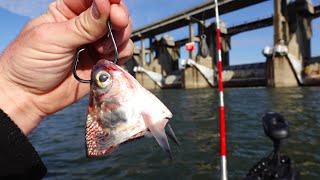 Fishing the deepest hole at the dam for winter Catfish Ohio River [upl. by Ferrigno585]