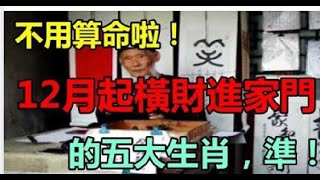 12月起橫財進家門的5大生肖  星座生肖 [upl. by Ahsekam]