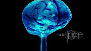 Neuroanatomy The Cerebrospinal Fluid CSF [upl. by Ennoid326]