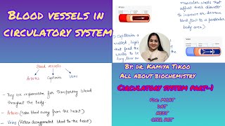 Circulatory system Part1Blood vessels [upl. by Aitram]