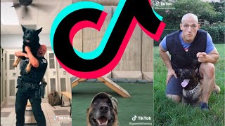 The Greatest K9 Police Dog TikTok Compilation  Dogs Of TikTok [upl. by Ojeibbob]