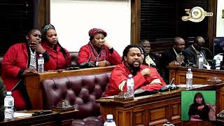 EFF vs FF  Ndlozi  Molder  Mini Planery  Parliament [upl. by Areic]