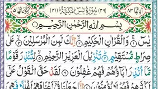 SURAH YASEEN REACTION QURAN SHARIF  DAILY YASEEN MUSHK VIDEO RAHMAN [upl. by Gnilsia246]